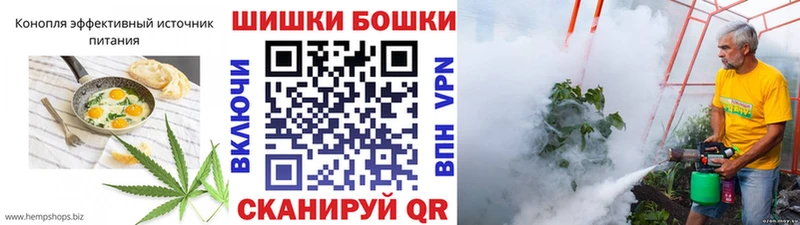 ссылка на мегу вход  где купить наркотик  Дивногорск  Canna-Cookies конопля 