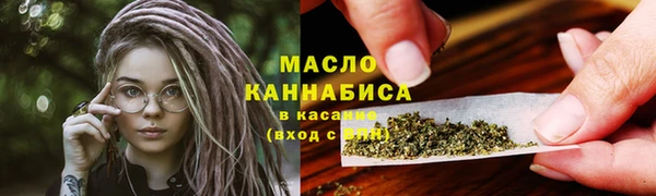дмт Протвино