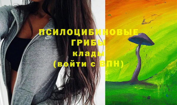 а пвп мука Абаза