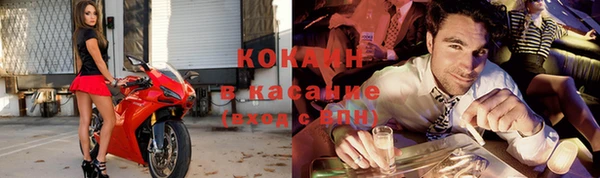 сатива Абинск