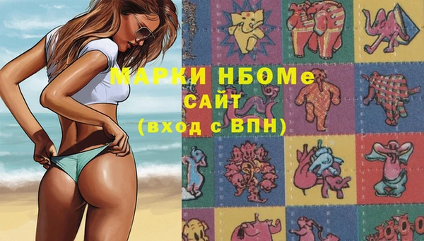 сатива Абинск