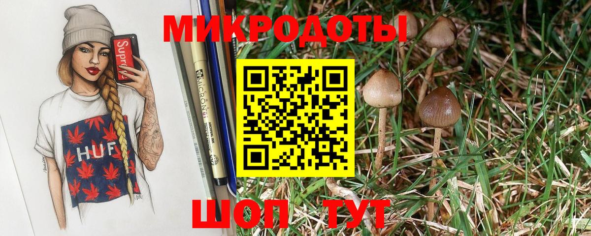 Галлюциногенные грибы GOLDEN TEACHER  Вход с VPN  Дивногорск 