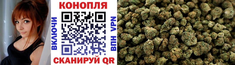 Бошки Шишки OG Kush  где купить наркоту  Дивногорск 